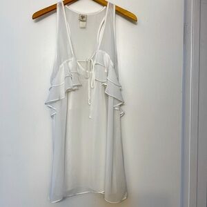 Gorgeous Vintage Sheer lingerie Nightie- In Bloom